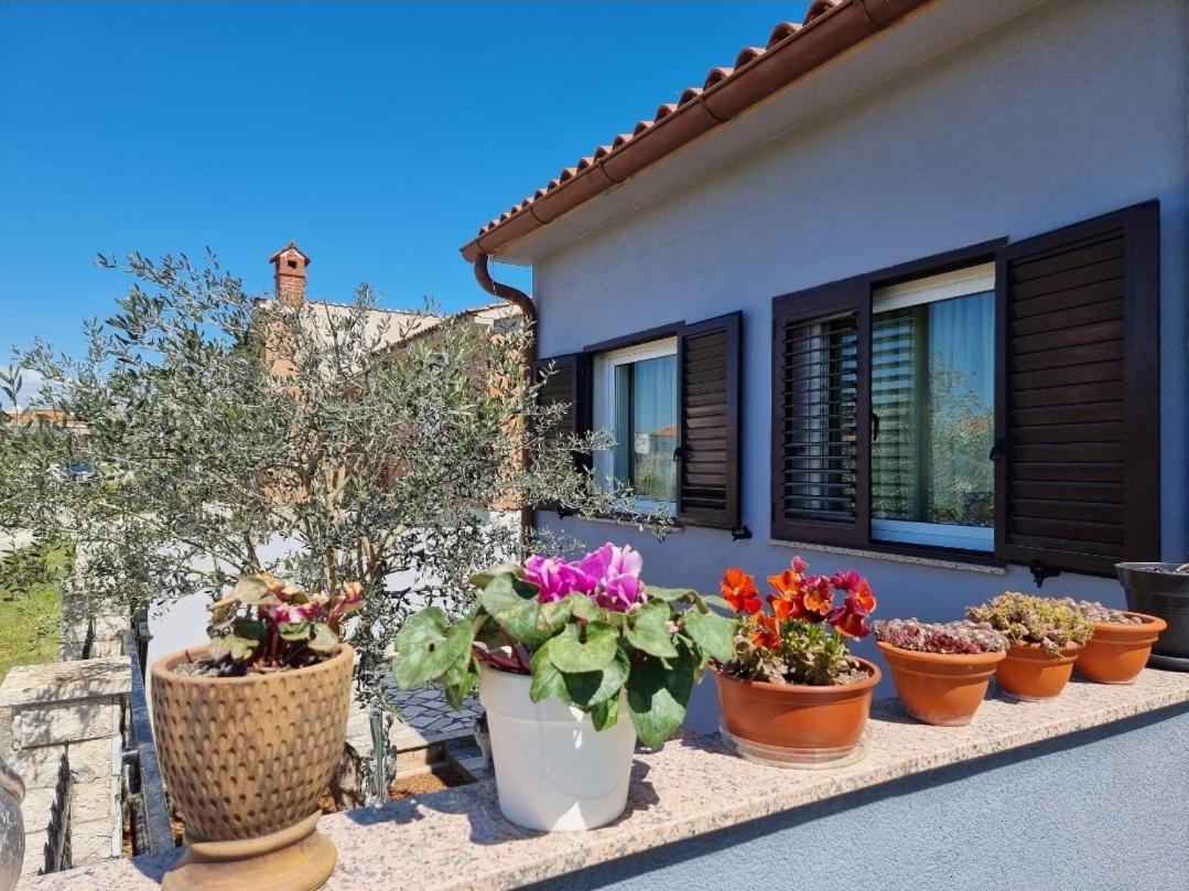 Frida Apartamento Pula Exterior foto